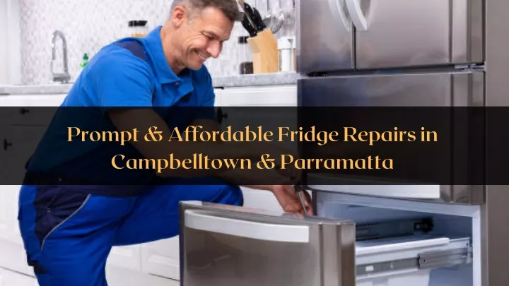prompt affordable fridge repairs in campbelltown