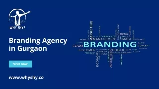 Best Branding Agency in Gurgaon - Why Shy