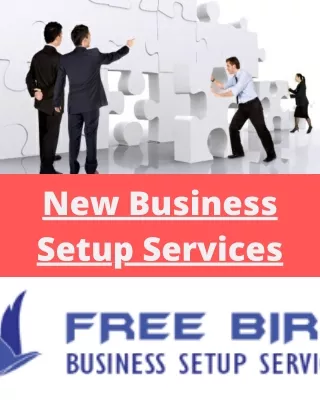 New Business Setup Services