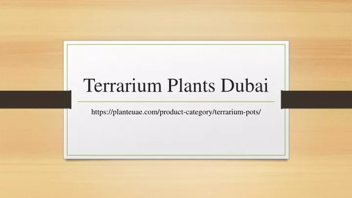 terrarium plants dubai