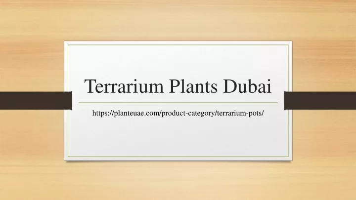 terrarium plants dubai