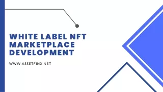 white label nft marketplace development