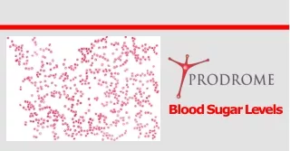 Get all your queries regarding blood sugar levels answered at Prodrome!