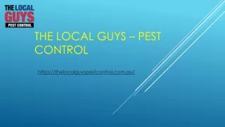 Termite Control Adelaide | Thelocalguyspestcontrol.com.au