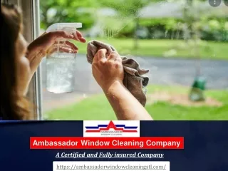 Professional Residential Window Cleaning Services
