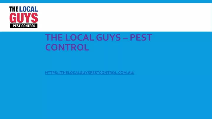 the local guys pest control https thelocalguyspestcontrol com au