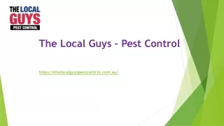 Termite Control Perth | Thelocalguyspestcontrol.com.au