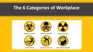 the 6 categories of workplace