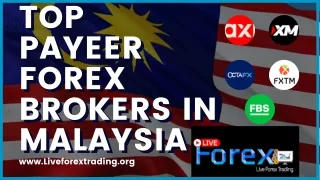 Top Payeer Forex Brokers In Malaysia
