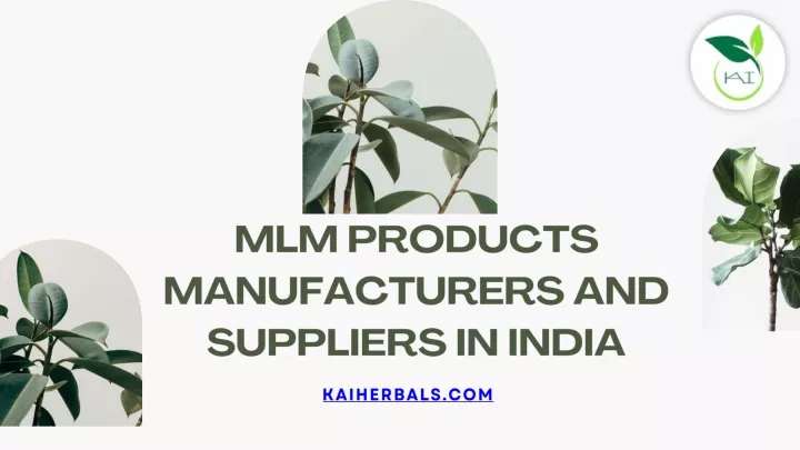 mlm products manufacturers and suppliers in india
