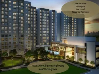 DLF The Grove Luxury Apartment With Advanced Facilities