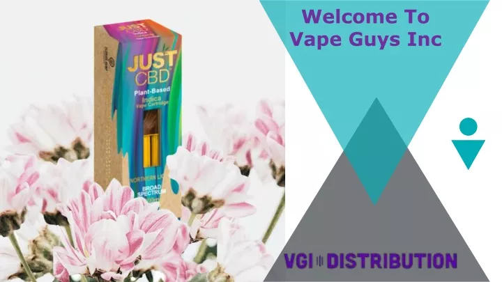 welcome to vape guys inc