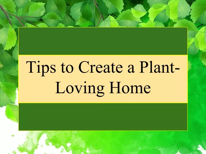tips to create a plant loving home