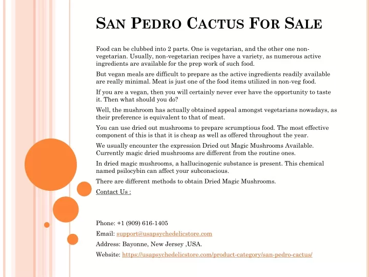 san pedro cactus for sale