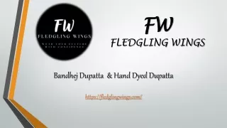 fw fledgling wings