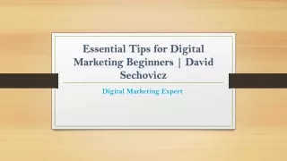 Essential Tips for Digital Marketing Beginners | David Sechovicz