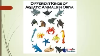 Different Kinds Of Aquatic Animals in oriya