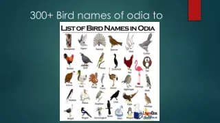 List of bird Names in Odia