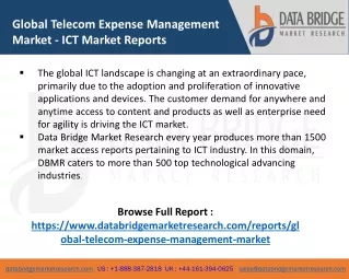 global telecom expense management market