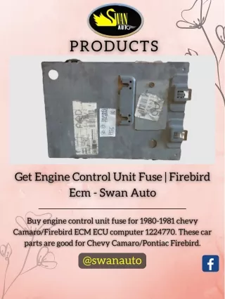 Get Engine Control Unit Fuse | Firebird Ecm - Swan Auto