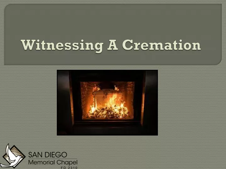 witnessing a cremation