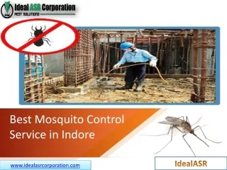 best mosquito control service in indore