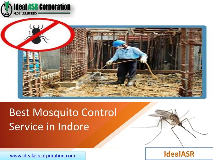 best mosquito control service in indore