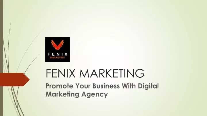 fenix marketing