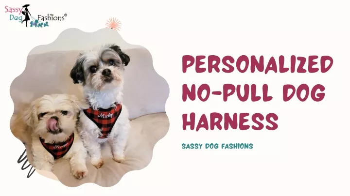 personalized no pull dog harness sassy