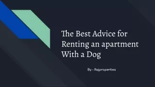 The Best Advice for Renting an apartment With a Dog
