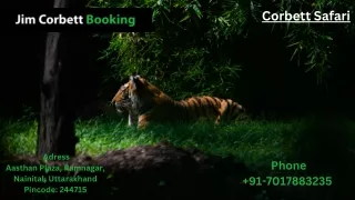 corbett safari