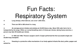 fun facts respiratory system