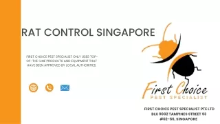 Rat Control Singapore