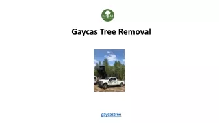 Gaycas Tree Removal
