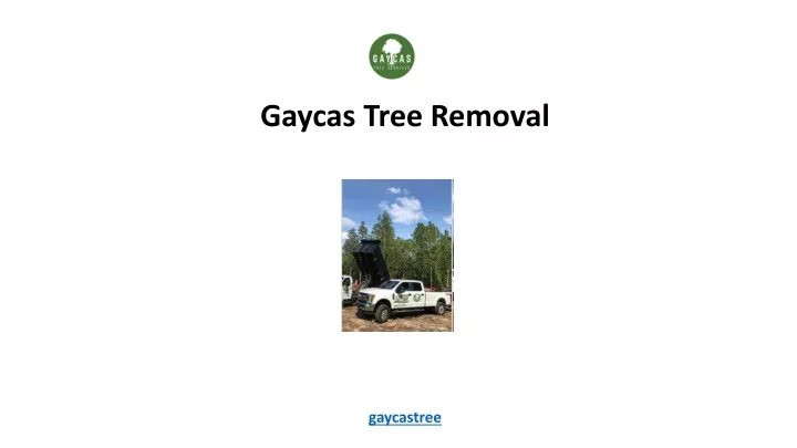 gaycas tree removal gaycastree