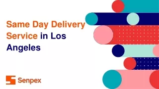 Same Day Delivery Service in Los Angeles