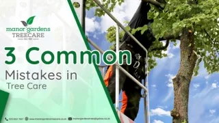 3 Common Mistakes in Tree Care