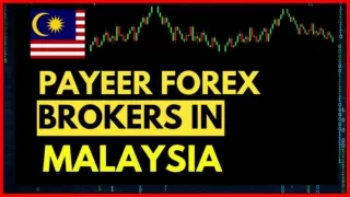 Payeer Forex Brokers In Malaysia