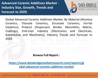 Global Advanced Ceramic Additives Market