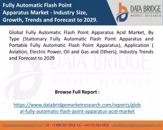 Global Fully Automatic Flash Point Apparatus Acid Market