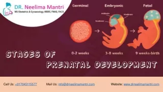call us 917045115577 mail us info@drneelimamantri