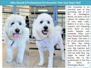 Why Should A Professional Pet Groomer Trim Your Dogs Nail