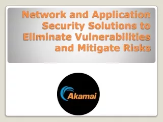 Network and Application Security Solutions to Eliminate Vulnerabilities and Mitigate Risks