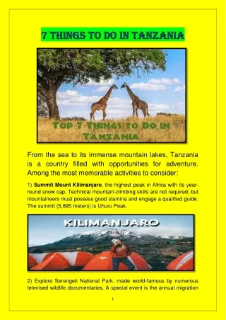 7 Things to Do in Tanzania