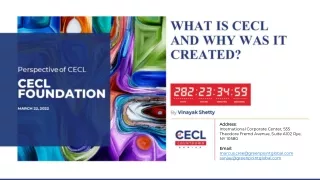 What is CECL and Why it was Created
