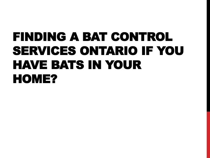 finding a bat control services ontario if you have bats in your home