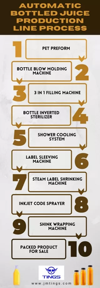 Automatic Bottled Juice Production Line Process