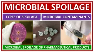 TYPES OF SPOILAGE, PHARMACEUTICAL MICROBIOLOGY