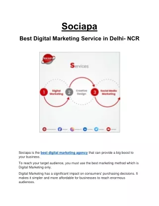 Sociapa Best Digital Marketing Agency in Delhi NCR
