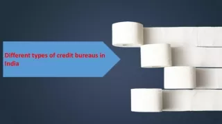 different types of credit bureaus in india